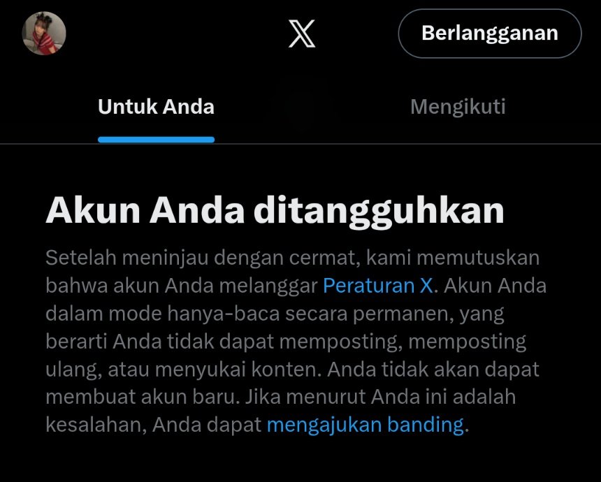 ᦔꪮ᥅ꫀ ʚଓ ּ ֶָ֢. tweet media
