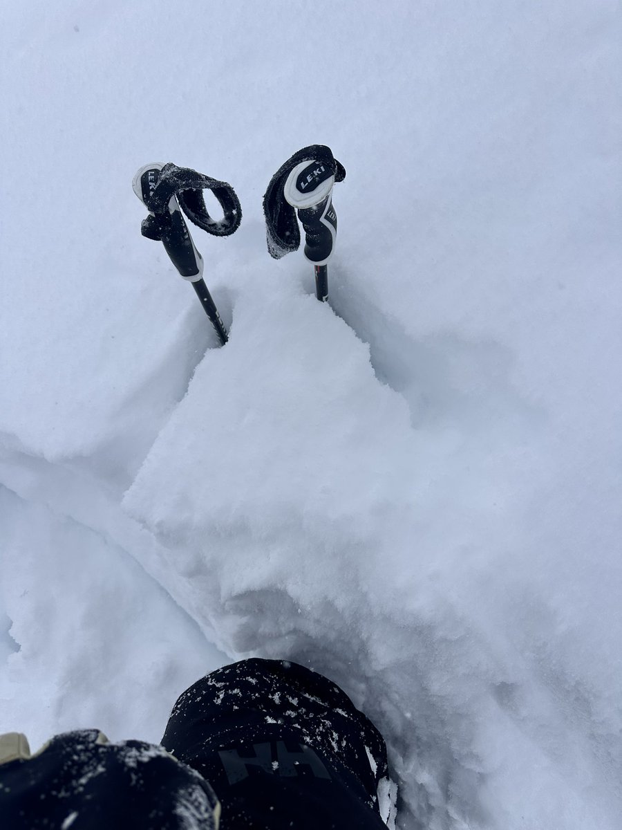 Michael Herman tweet media