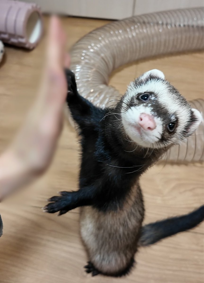 うなぎ🍥 tweet media