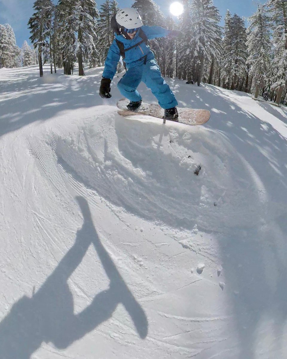 Noel Smith tweet media