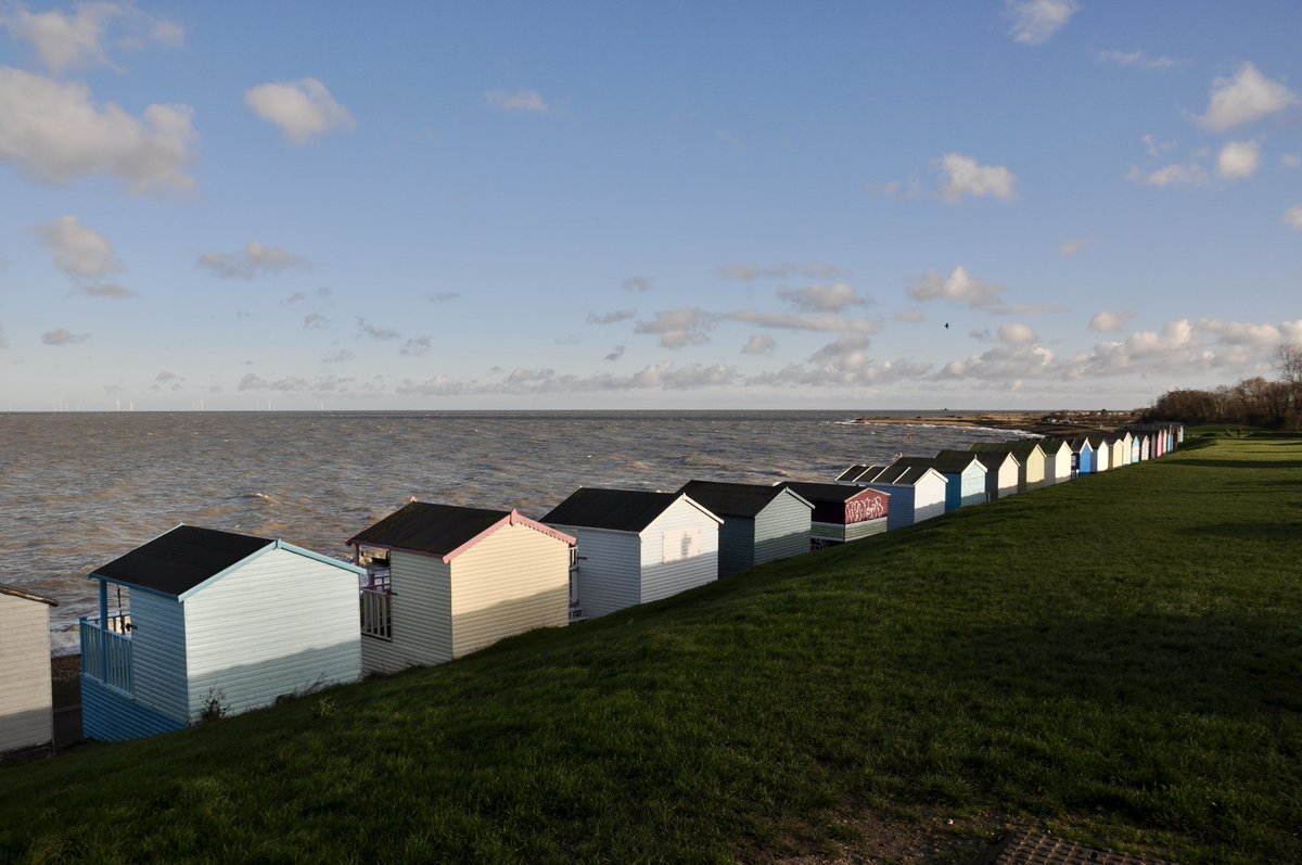 Litstable tweet media