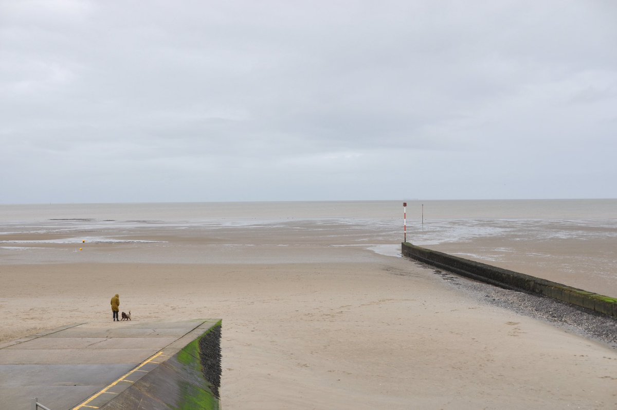 Litstable tweet media