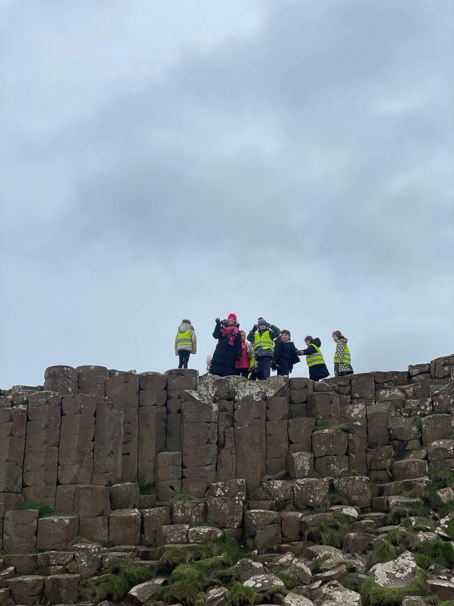 Mill Strand IPS tweet media