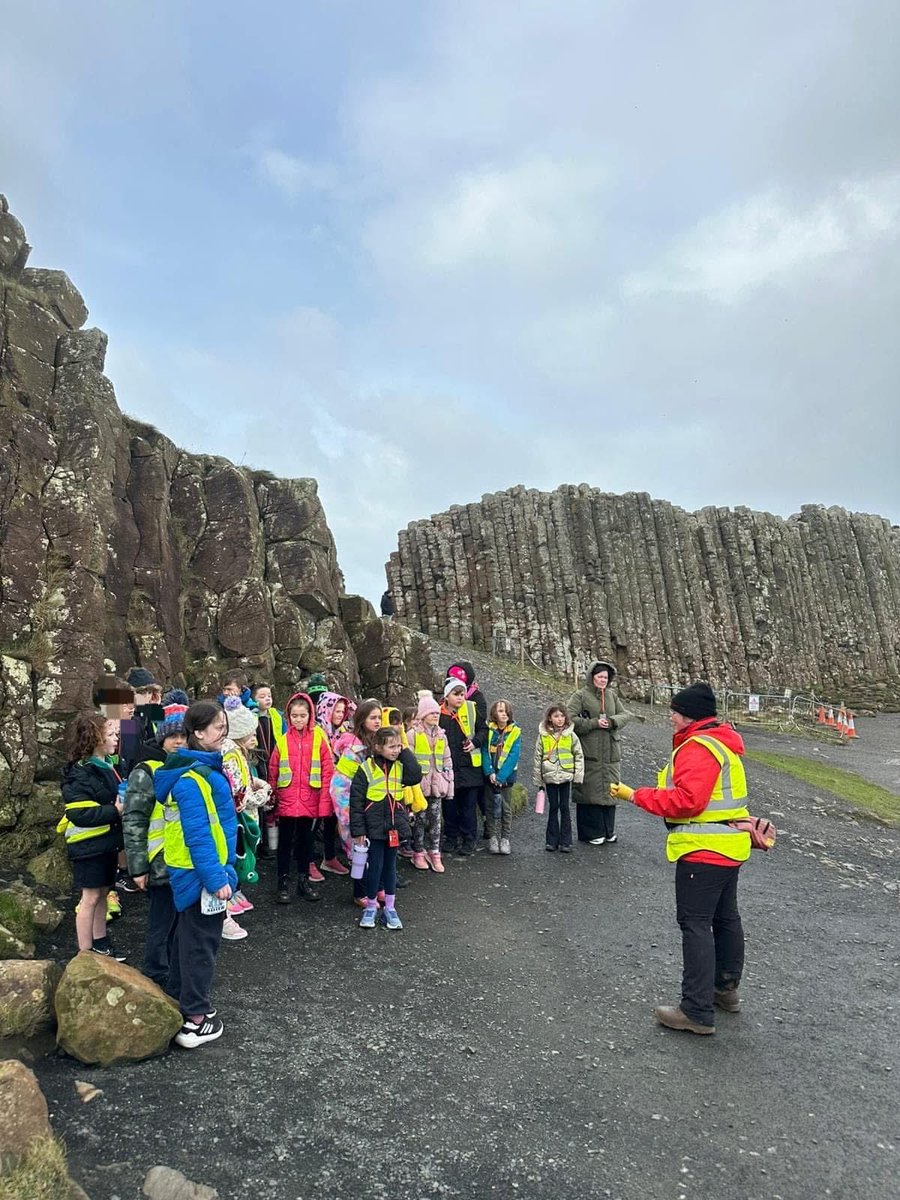 Mill Strand IPS tweet media