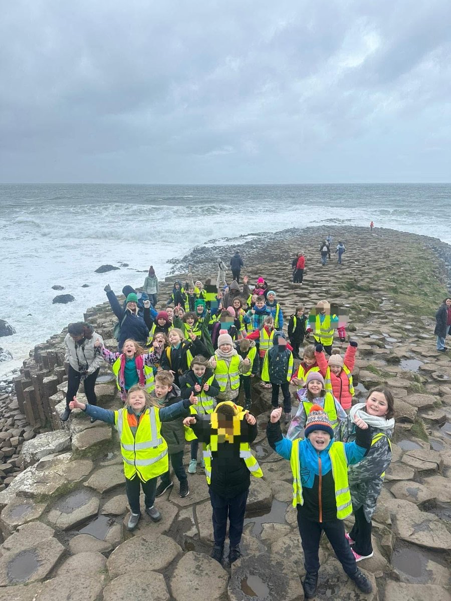 Mill Strand IPS tweet media