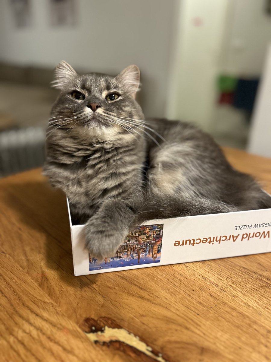 Shirli Lior tweet media