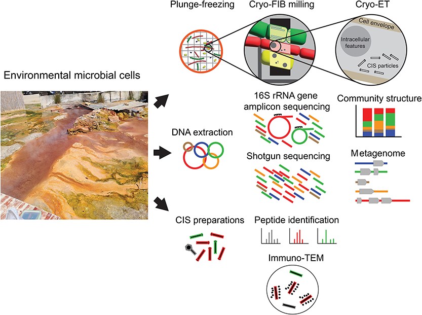 Evgenii Protasov tweet media