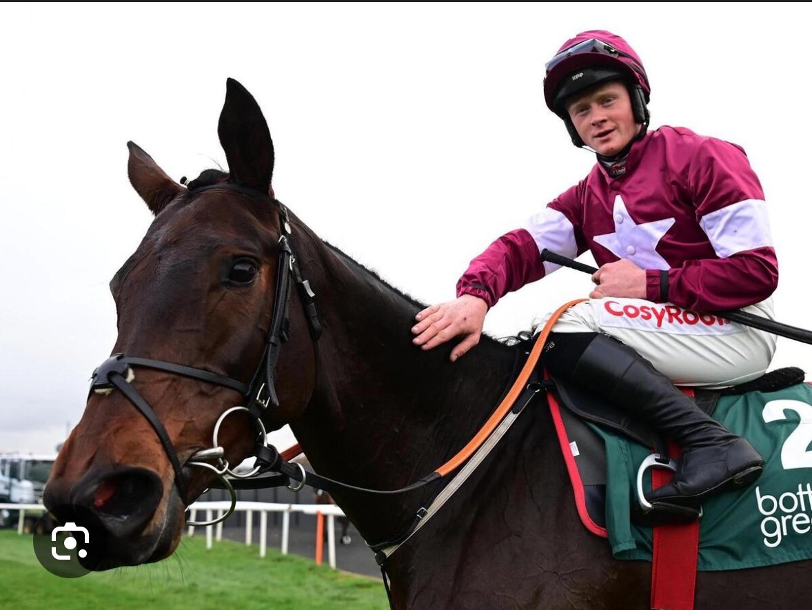 Bleahen Brothers tweet media