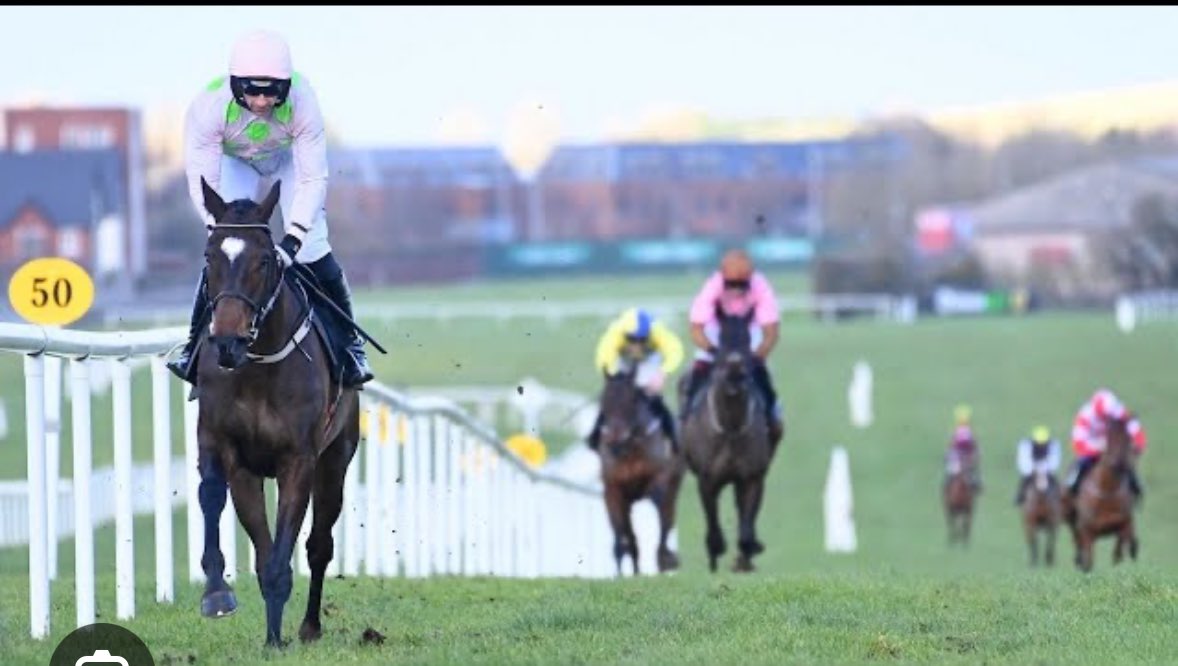 Bleahen Brothers tweet media