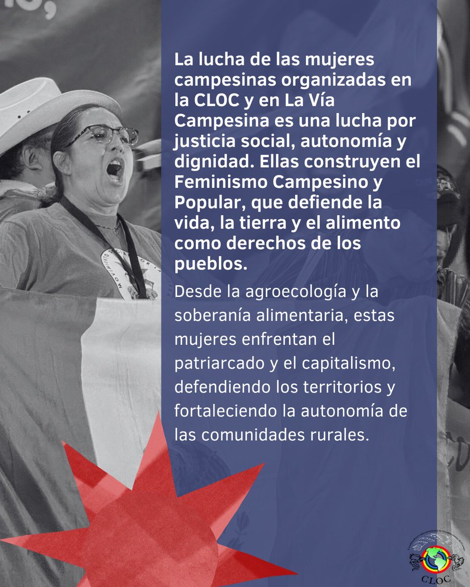 CLOC Vía Campesina tweet media