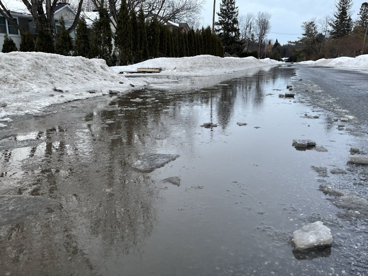 Ian Black tweet media