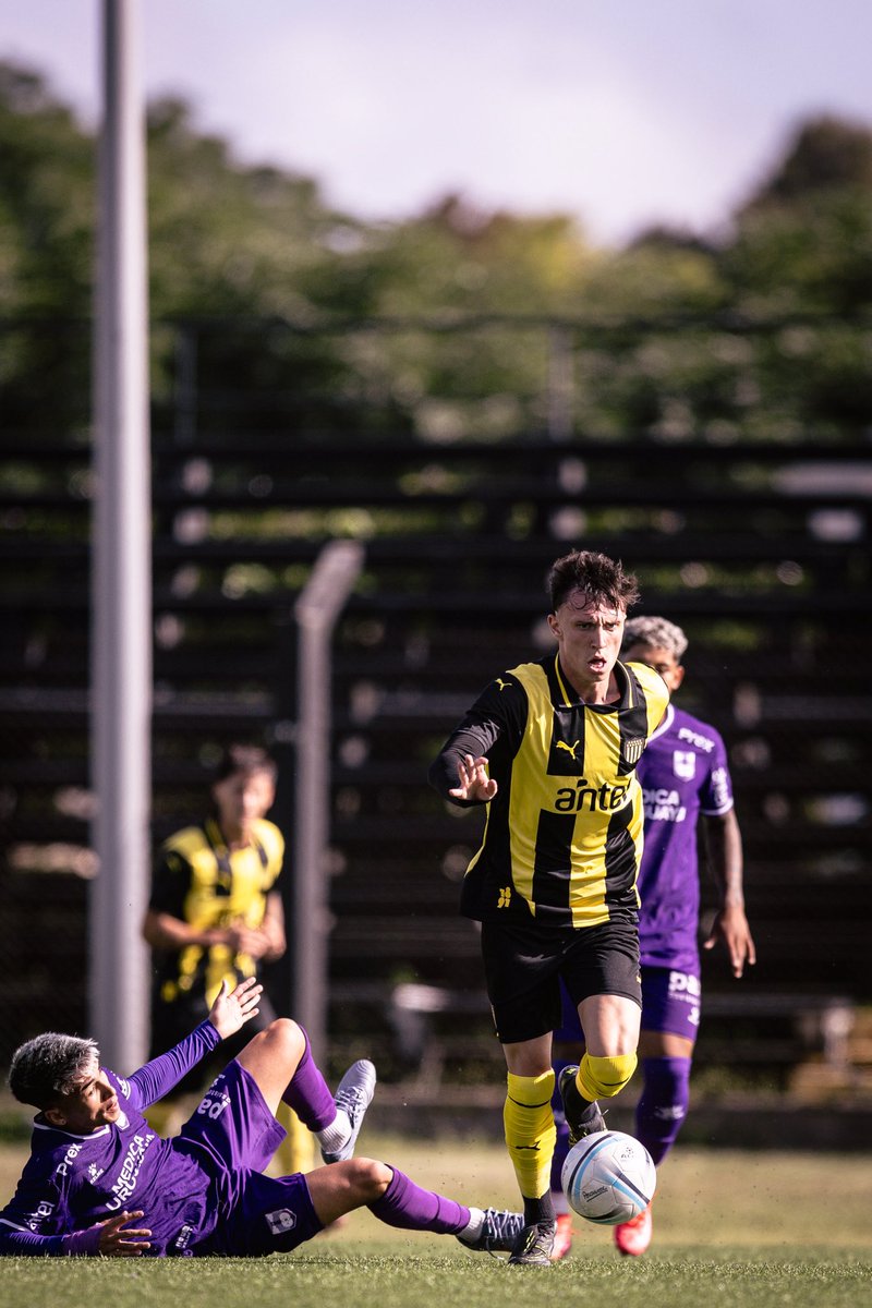 Ger Barbas tweet media