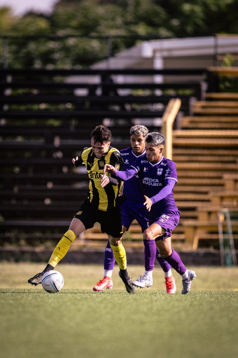 Ger Barbas tweet media