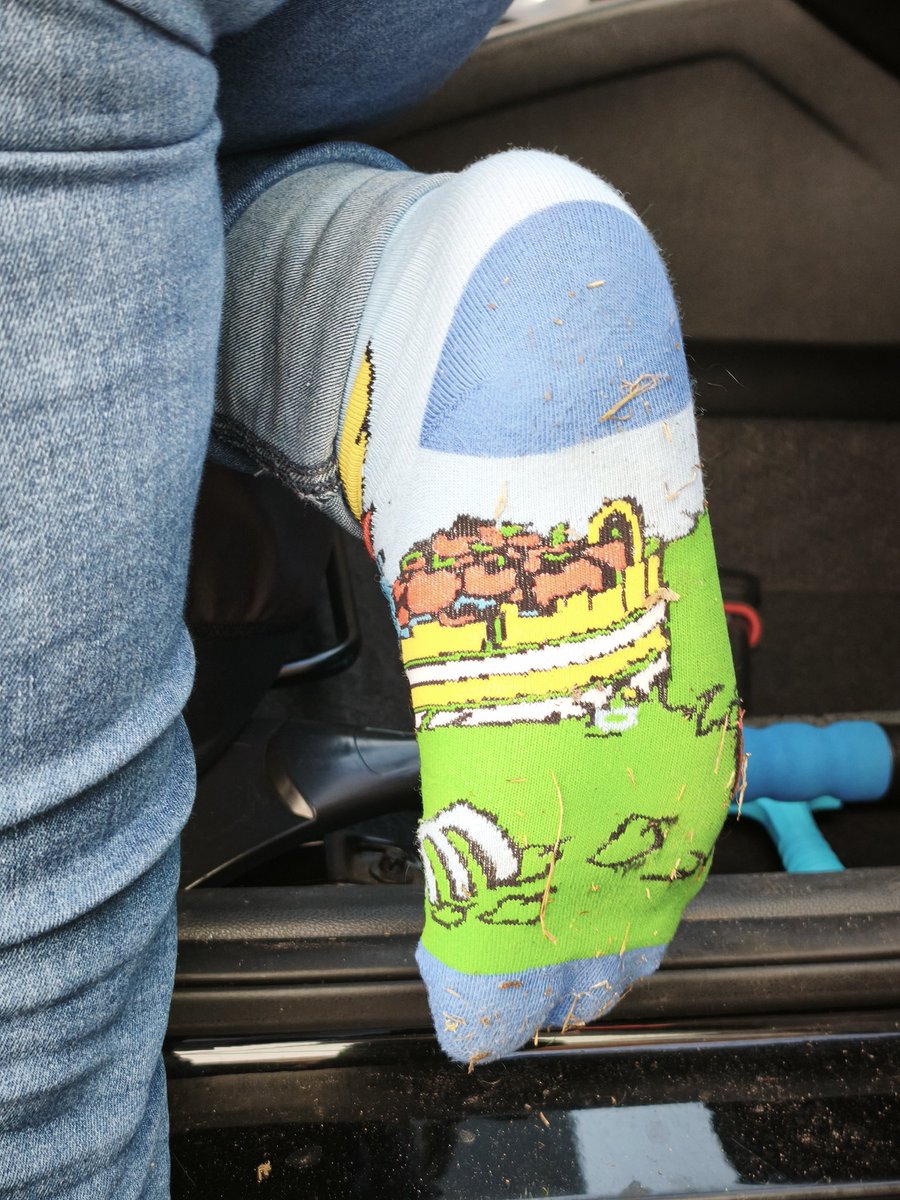 socks_sneakers's tweet photo. These socks are sooo cute 😍😍😍😍

#socks #socken #buntesocken #colorfulsocks #sockenfetisch #socksfetish #girlsocks #socksgirl #dirtysocks #smellysocks #sweatysocks https://t.co/Omc0Q93egJ