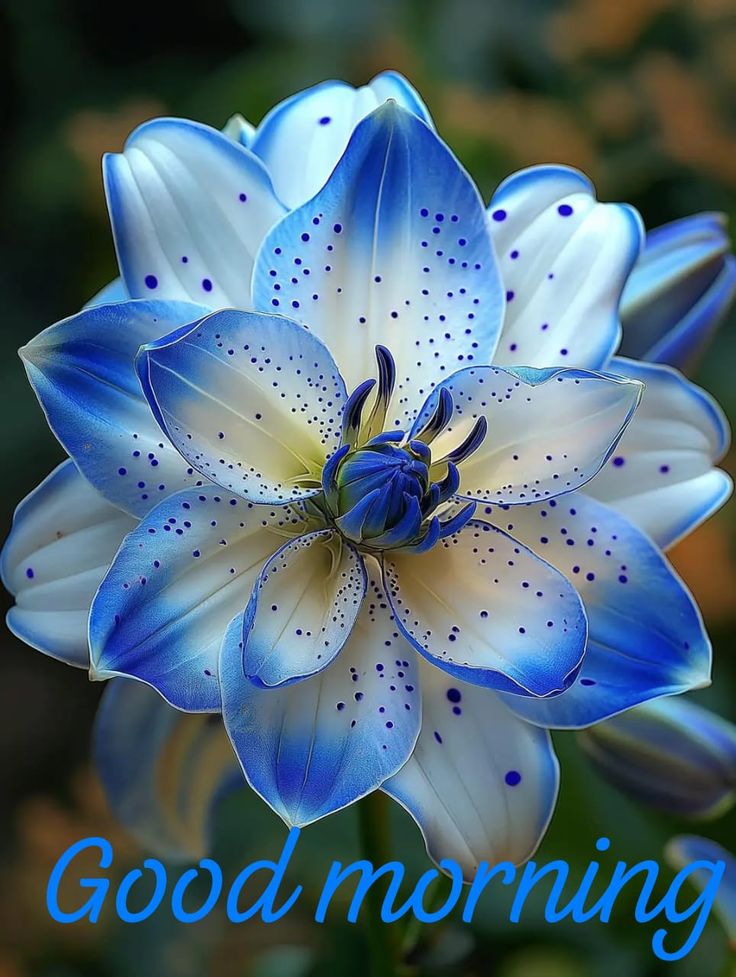 Vkyadav603's tweet image. The sun has risen to remind you that you get a fresh start today. Leave behind the worries of yesterday and embrace the possibilities of today. Have a productive and positive day! ☀️
#GoodMorning #NewDay #Positivity