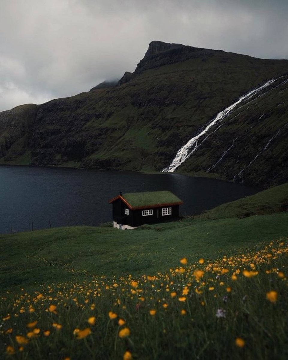 العنود tweet media