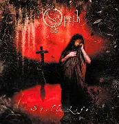 Steve Drummed tweet media