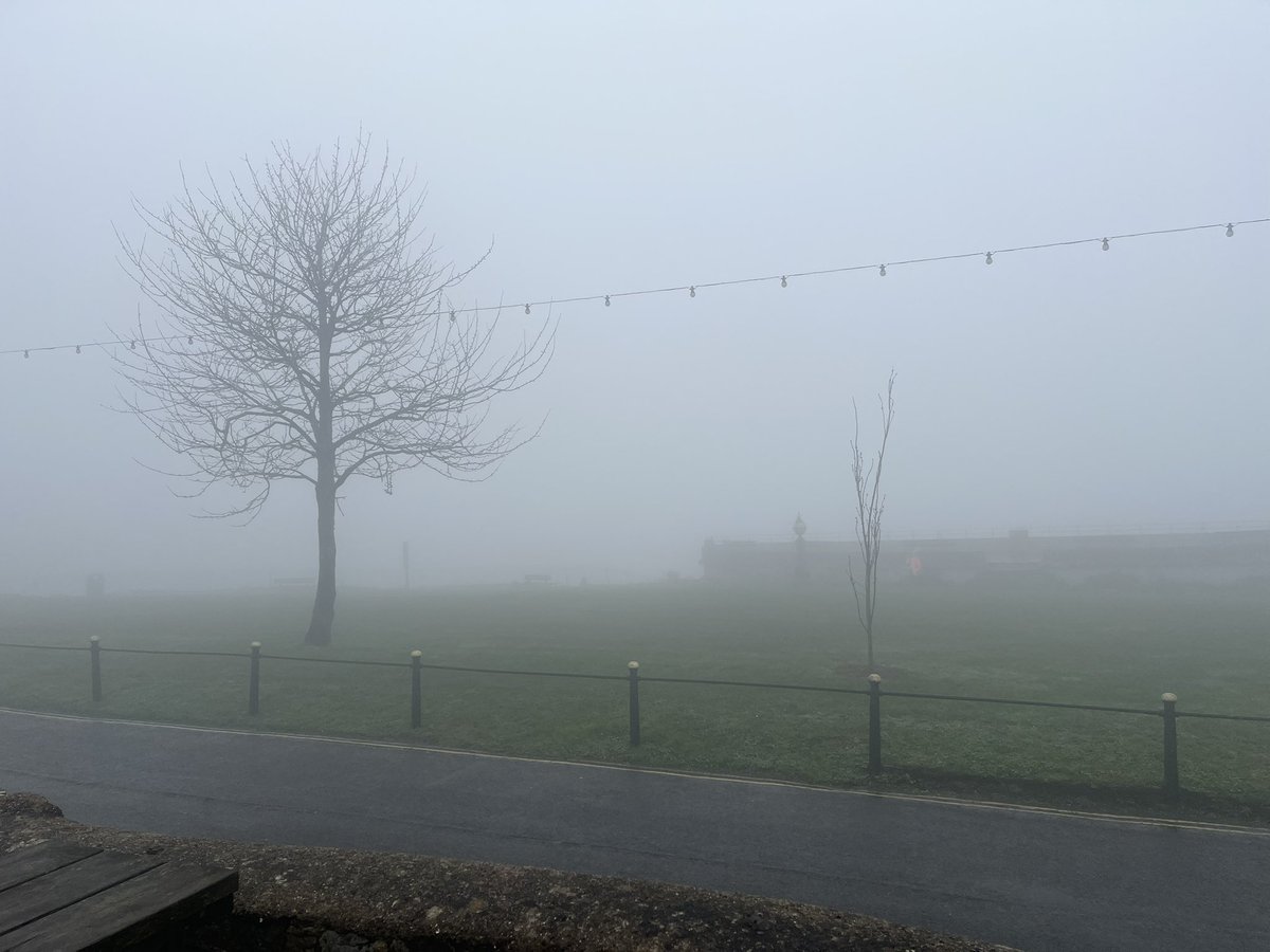 Anton McCoy tweet media