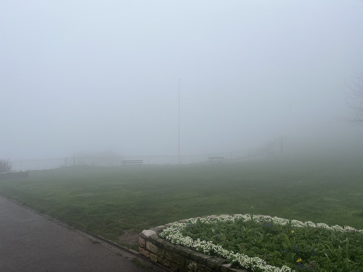 Anton McCoy tweet media