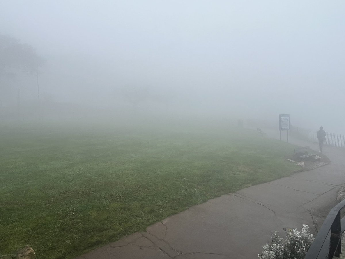 Anton McCoy tweet media