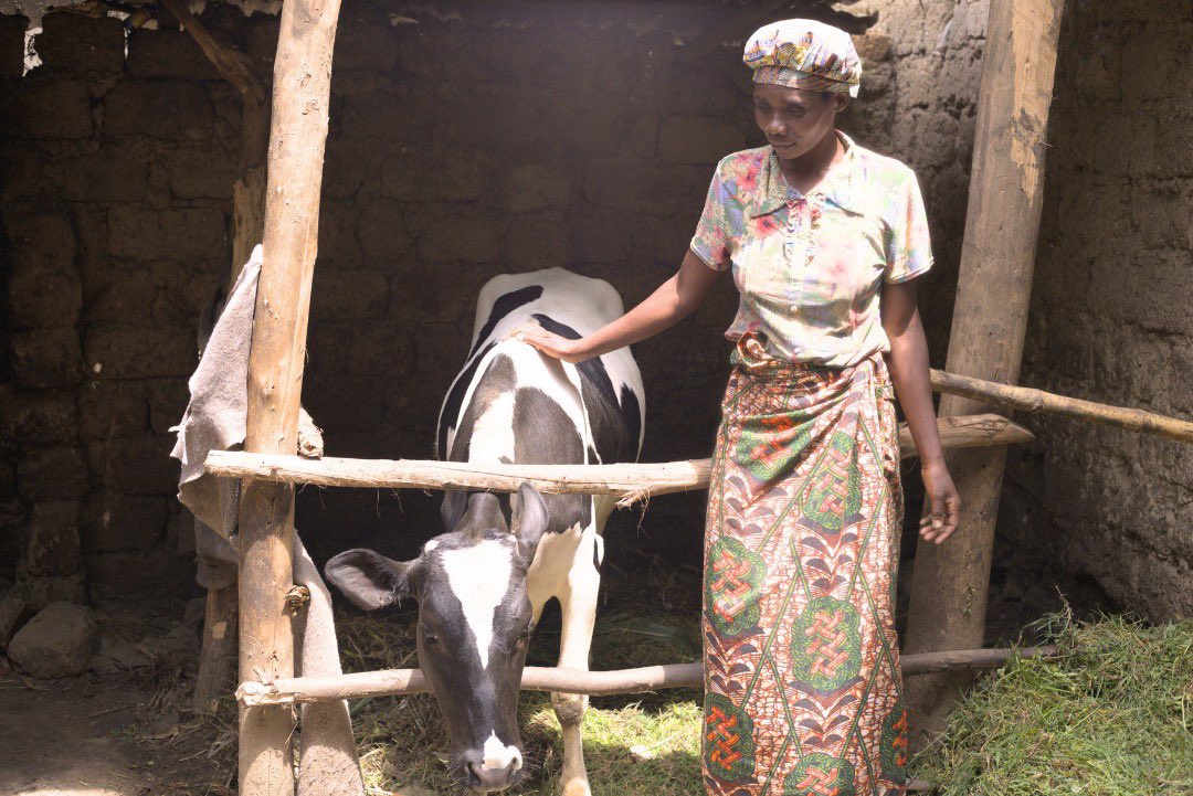 mutesi_lydie's tweet photo. Mu mushinga #SheCan /#UmugoreArashoboye, wa #WorldReliefRwanda @WrrRwanda, yafashije abagore bo muri Nyamagabe bari mu ma koperatives yo kwiteza imbere kugera ku mari, aho ku bufatanye na @RwEquityBank abagore bahabwa inguzanyo ku nyungu nto , ndetse ntibasabwe ingwate, ibi byahinduye ubuzima bwa benshi, biteza imbere, ndetse badasize imiryango yabo.
#IWD2026
#UmugoreNiUwAgaciro