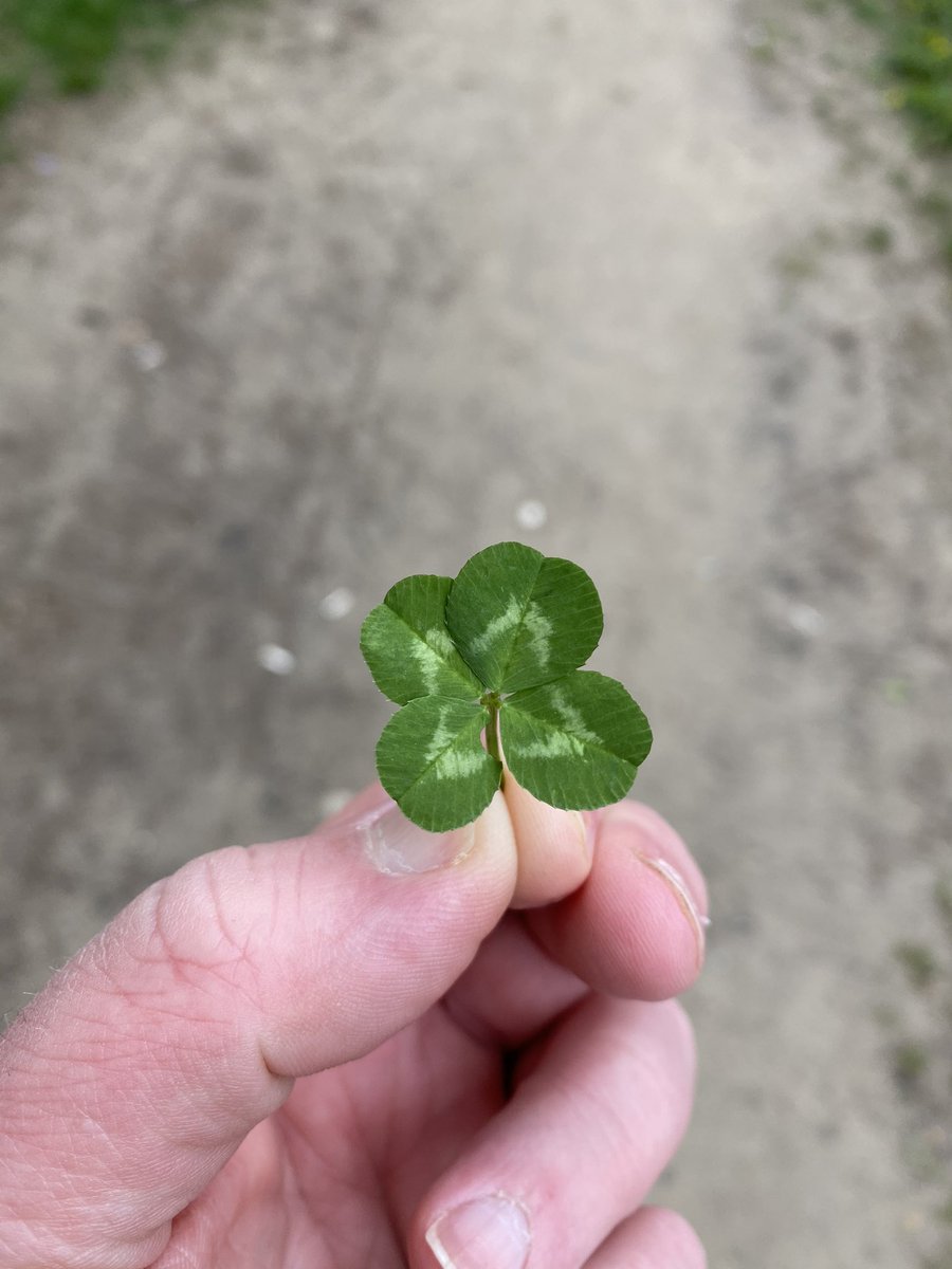 Smoky Bear tweet media