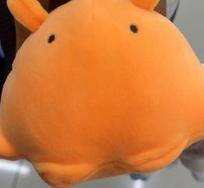 まあまあ驚きさ 🥶