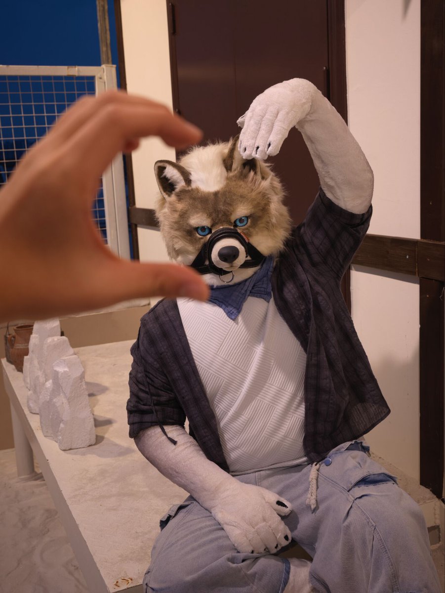 Baniu八牛 tweet media