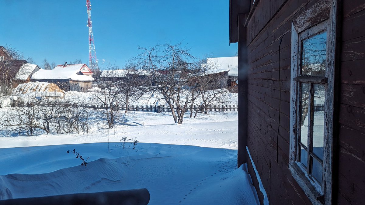 Ебенолог Глушеведович 🌲 tweet media