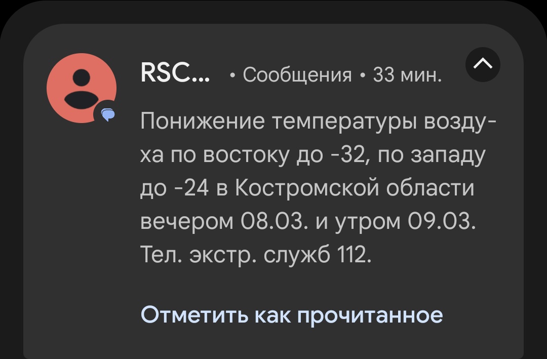 Ебенолог Глушеведович 🌲 tweet media