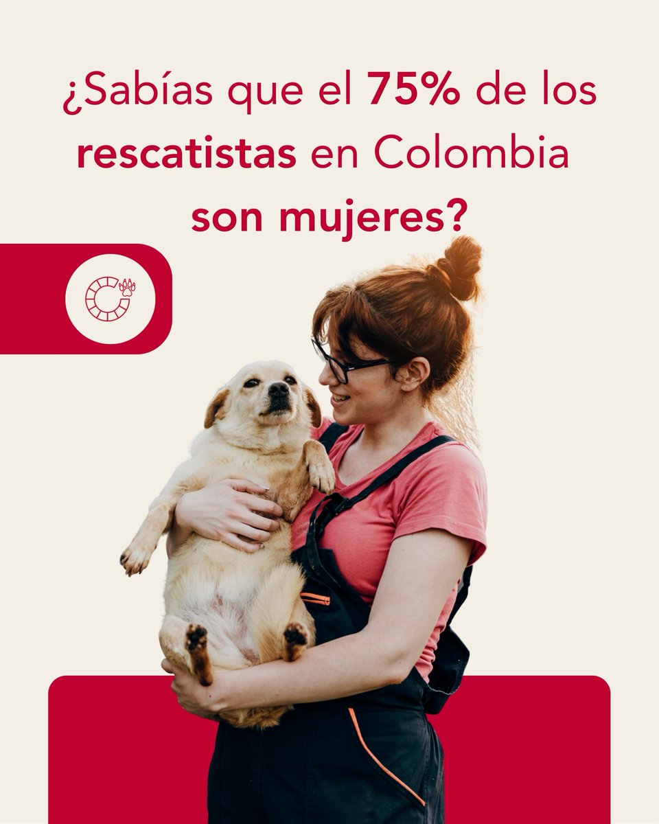 ¿Sabías que el corazón del rescate animal tiene rostro de mujer? Según el Proyecto de Ley 399 de 2023, se estima que su labor le ahorra al país más de 43 mil millones de pesos al año. Abro hilo para contarte el impacto de este liderazgo femenino en Colombia. 🧵