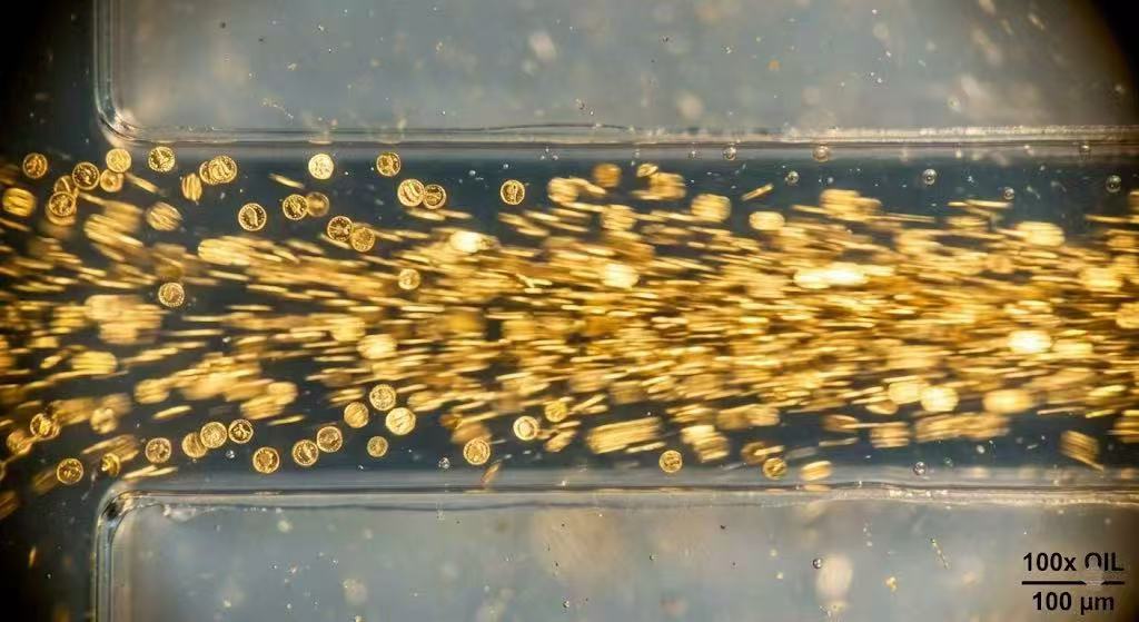 OpenAD Protocol tweet media