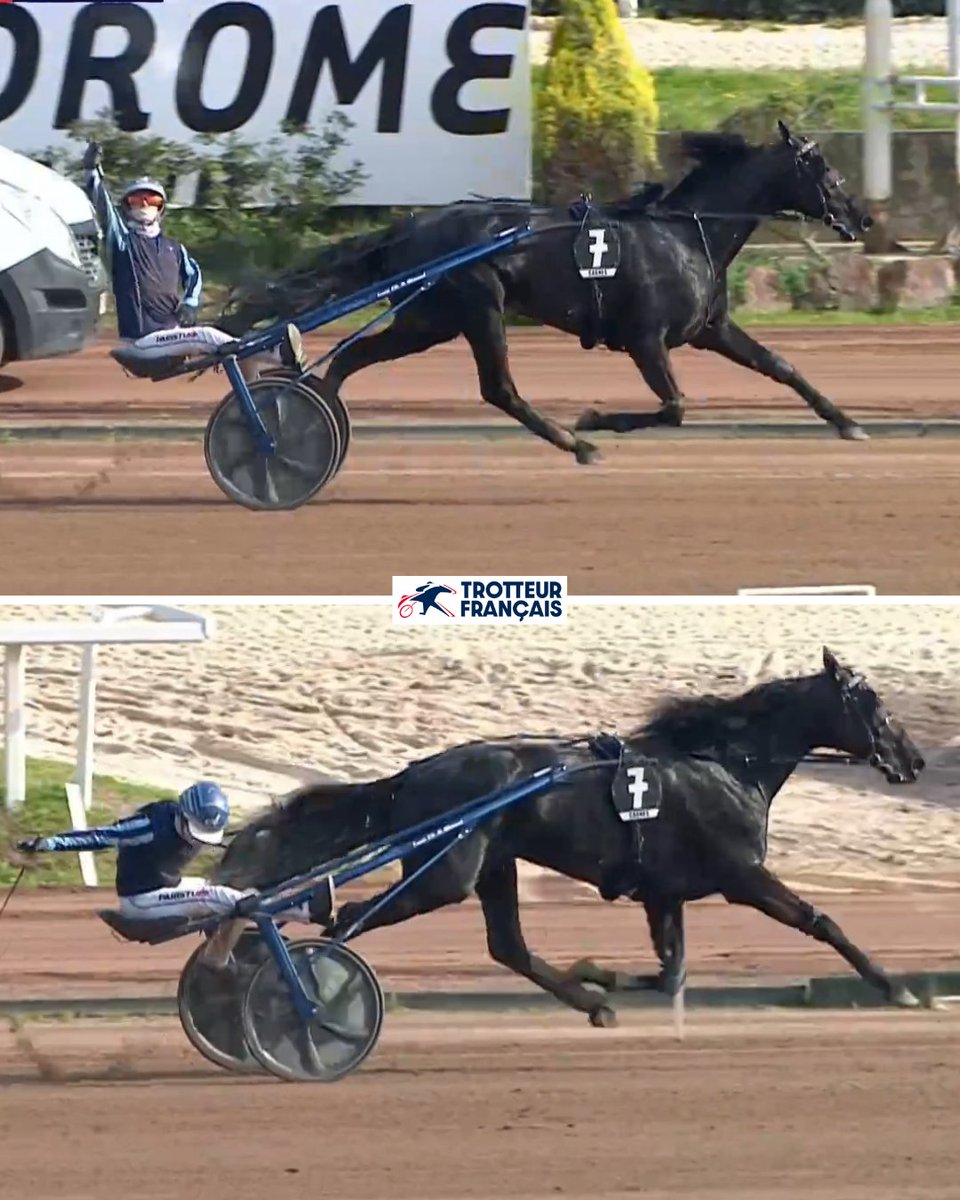 Trotteur Français tweet media