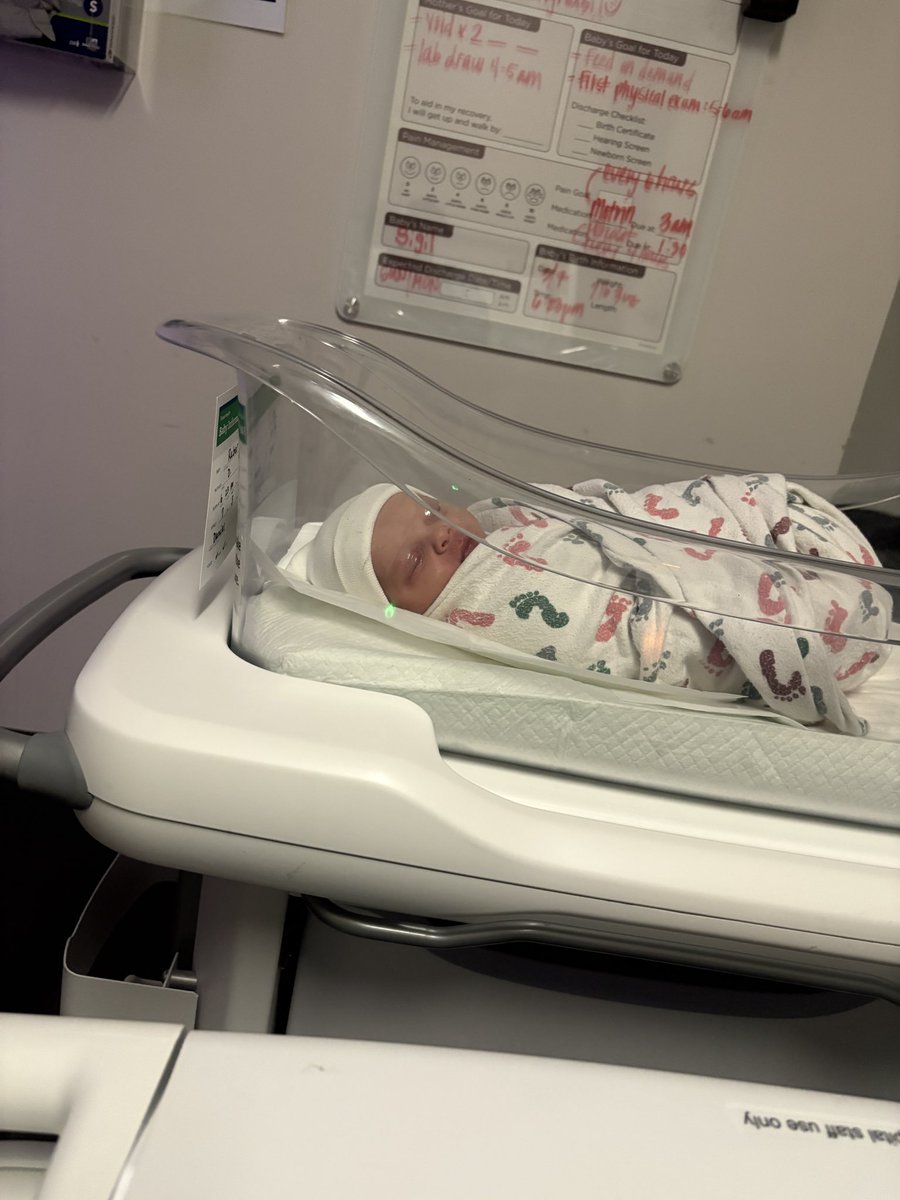 ✰ ℂ𝕐𝔹𝔼ℝ𝕋ℍℝ𝔼𝔼𝔻 ✰ tweet media