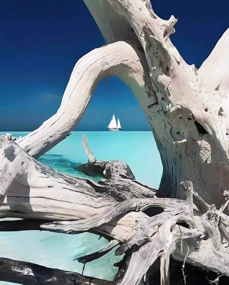 Walter Ego tweet media