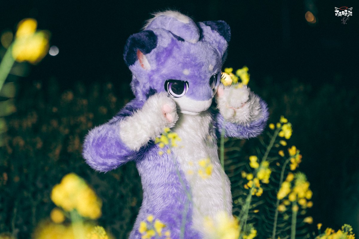 是子貉哟/Bud/Monie tweet media