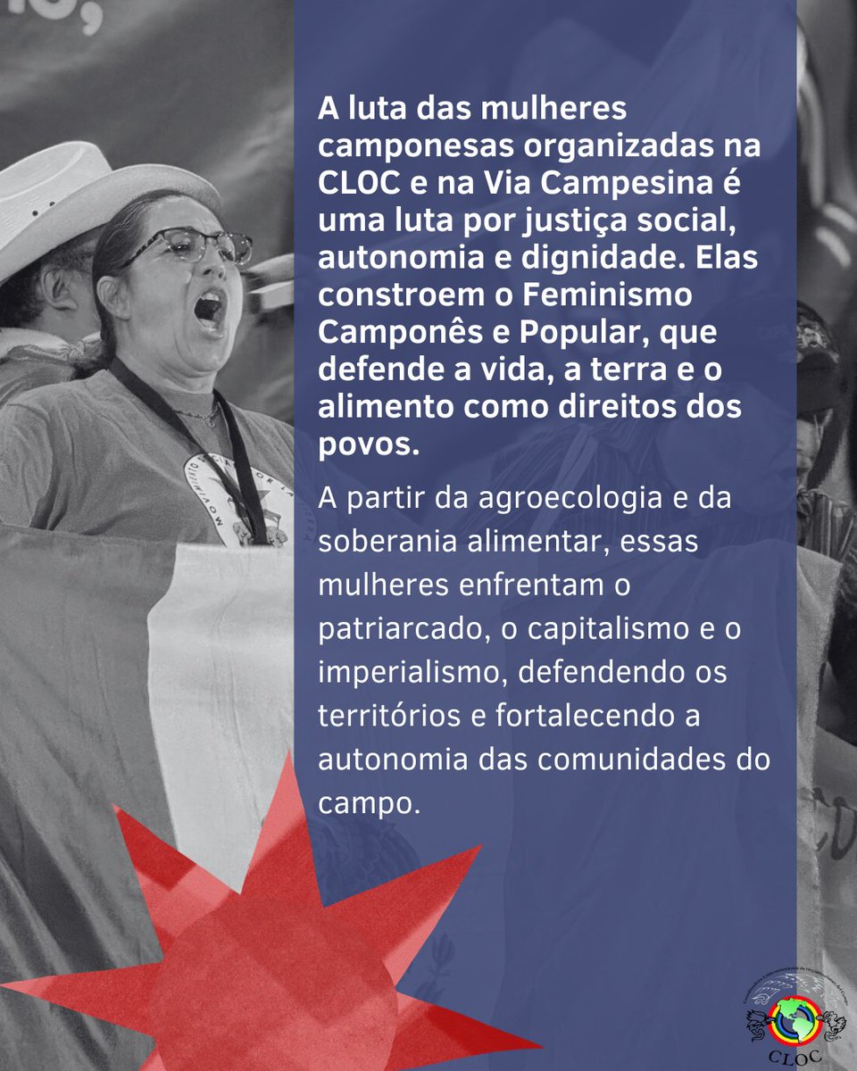 CLOC Vía Campesina tweet media