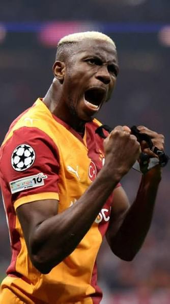 ALF AGENT tweet media