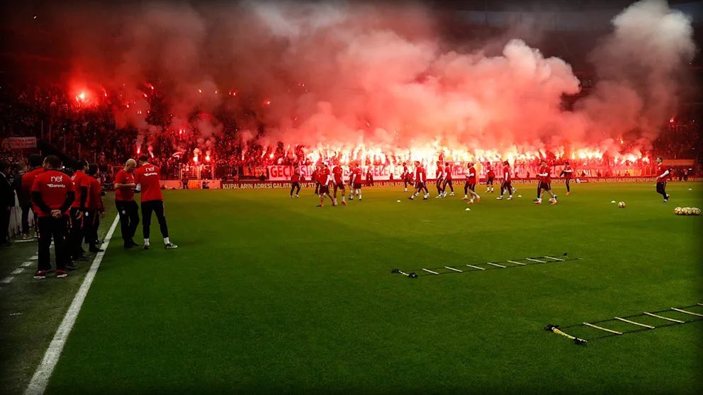 ALF AGENT tweet media