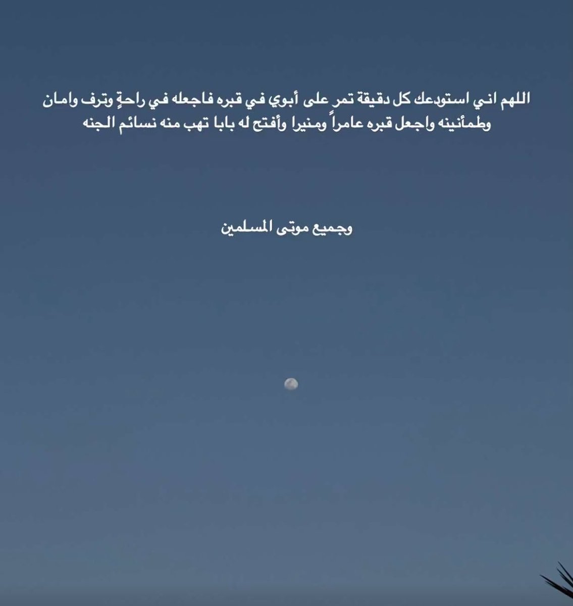 _ShadenR's tweet photo. https://t.co/Vr6QMRN99T