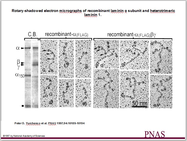 Compression Skills tweet media
