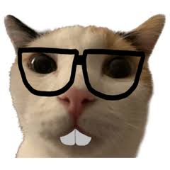 ✿˳⁠°𝑱𝒐𝒉𝒏𝒏𝒚.𝒃𝒖𝒊.𝑵𝒔𝒇𝒘.𝟏𝟖+*⁠.⁠✧ tweet media