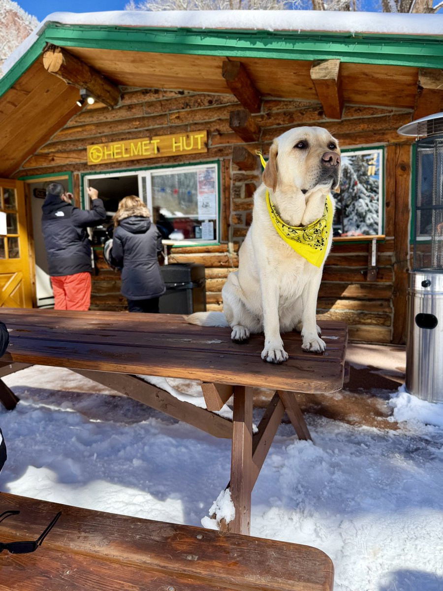 Emerson Lotzia, Jr. tweet media