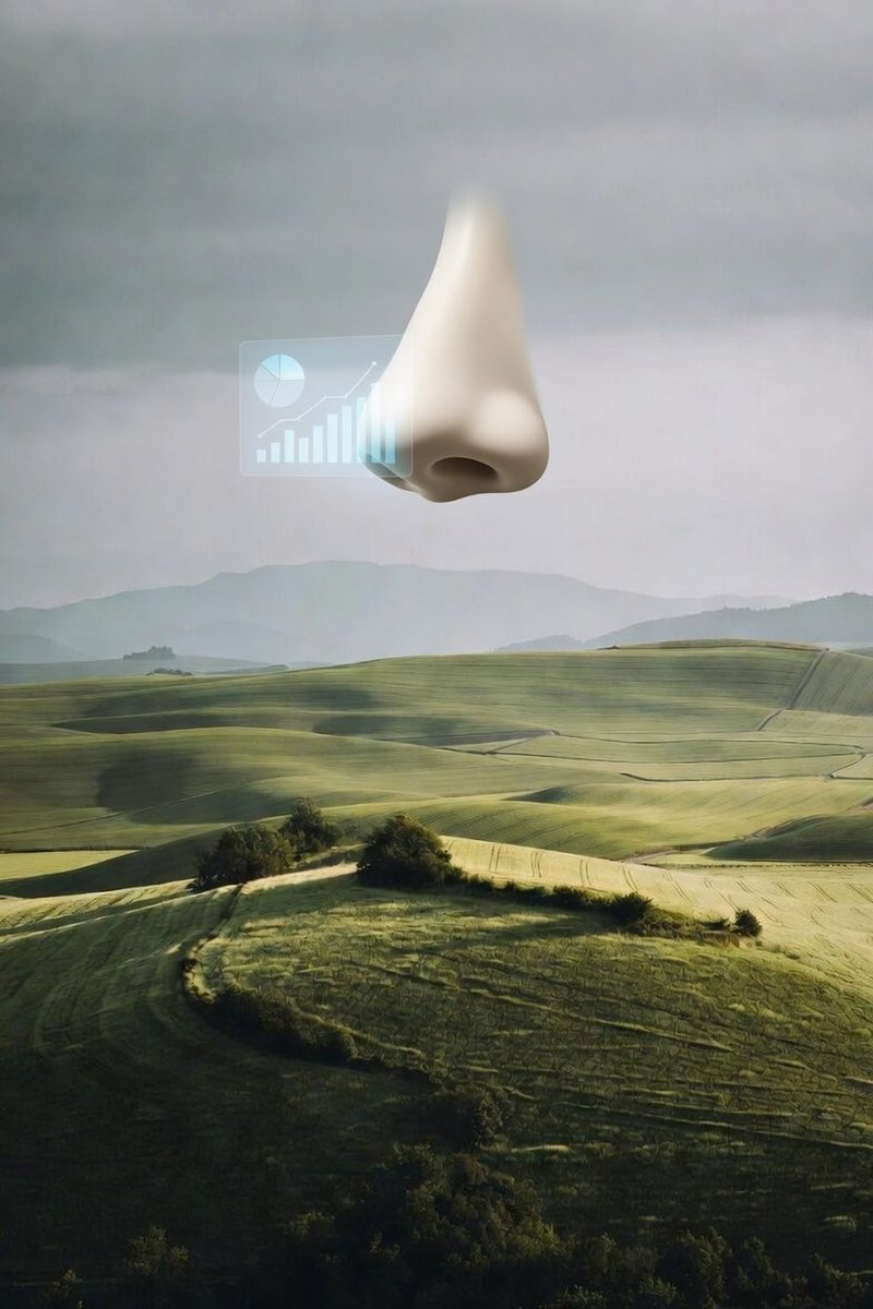 Das englische Wort für Nase in Wahlprognose - wer hat wohl den richtigen Riecher?