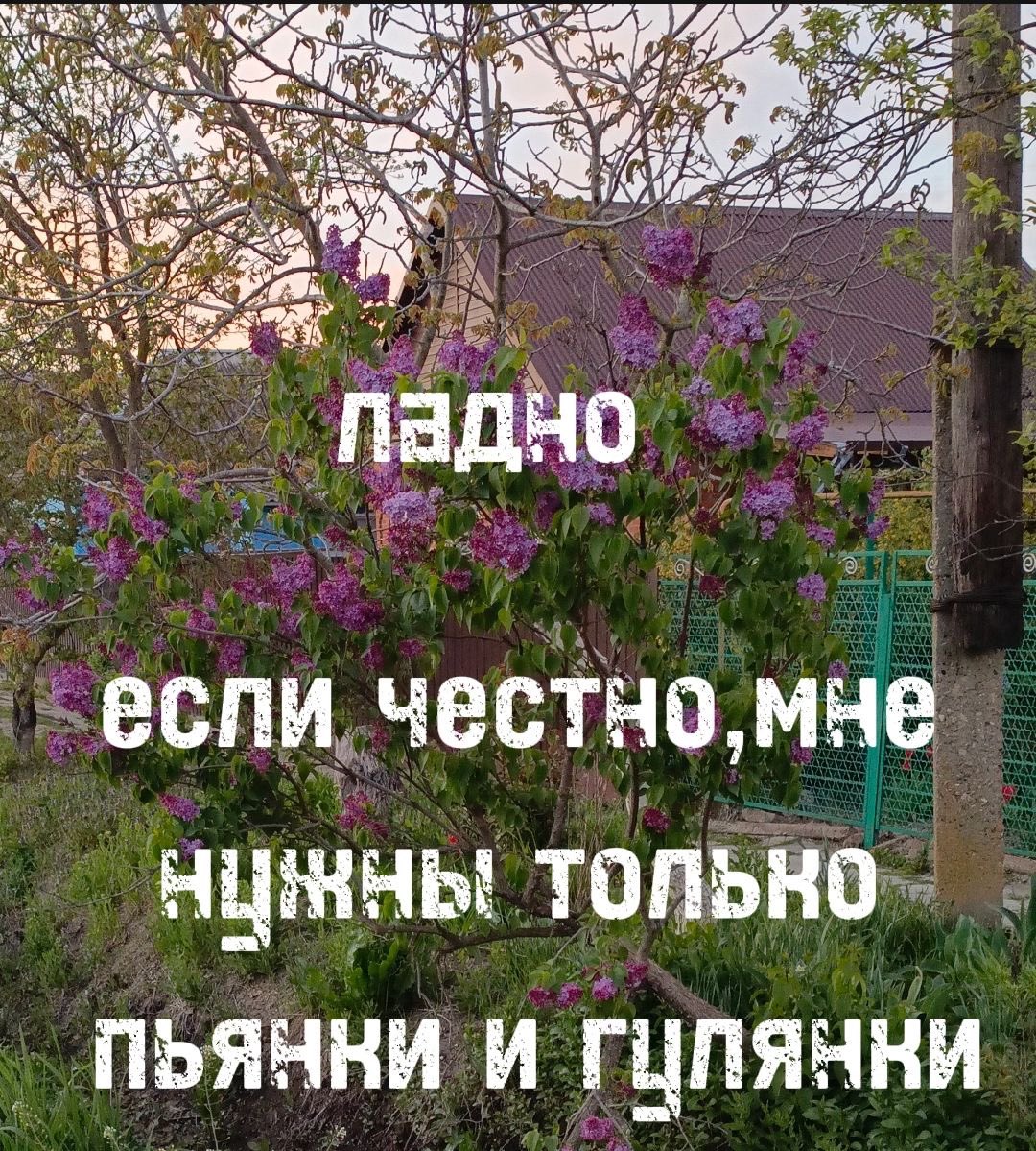 BEERSerokot's tweet photo. https://t.co/jTenHcRUBj