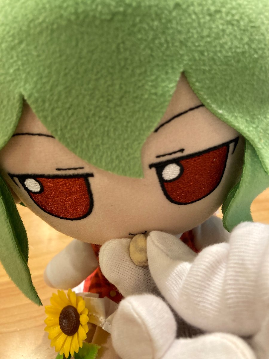 むるぬ tweet media