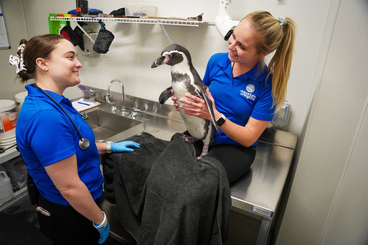 Aquarium of Niagara tweet media