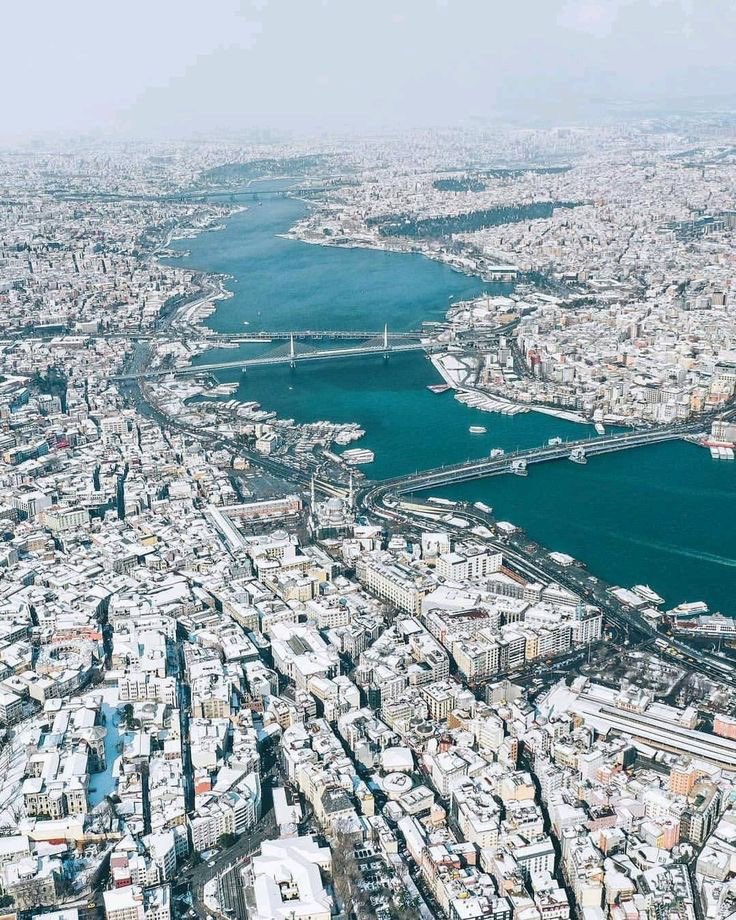 Anıl Doğan tweet media