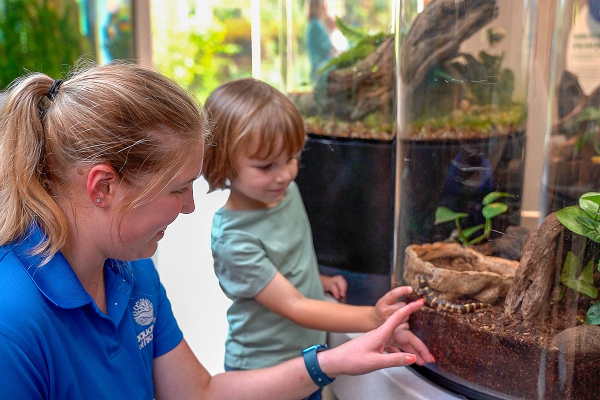 Aquarium of Niagara tweet media
