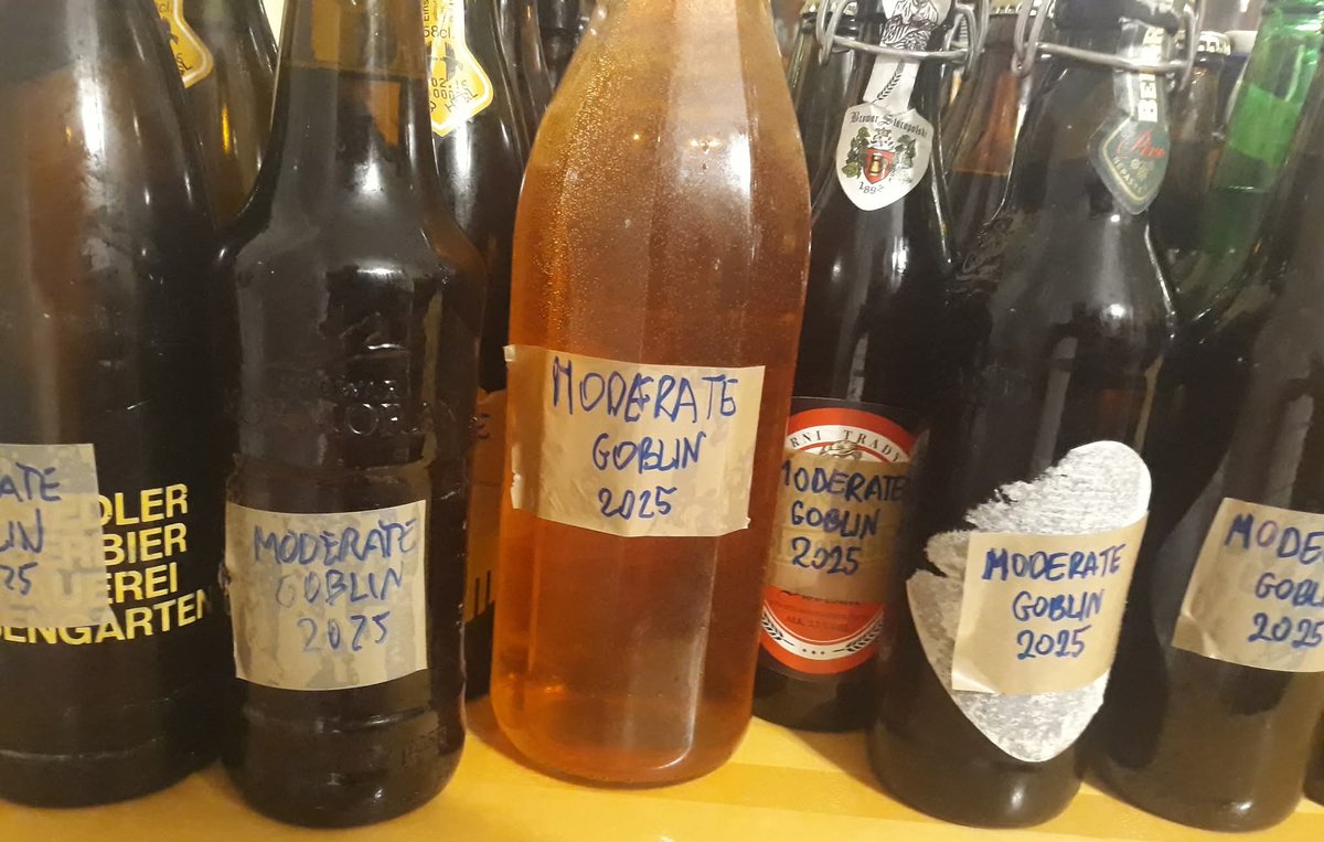 MarieOrk's tweet photo. A fermented drink 🥂 made partly from regular apples and partly from goblin apples 🍎 https://t.co/yHKmegM3NA